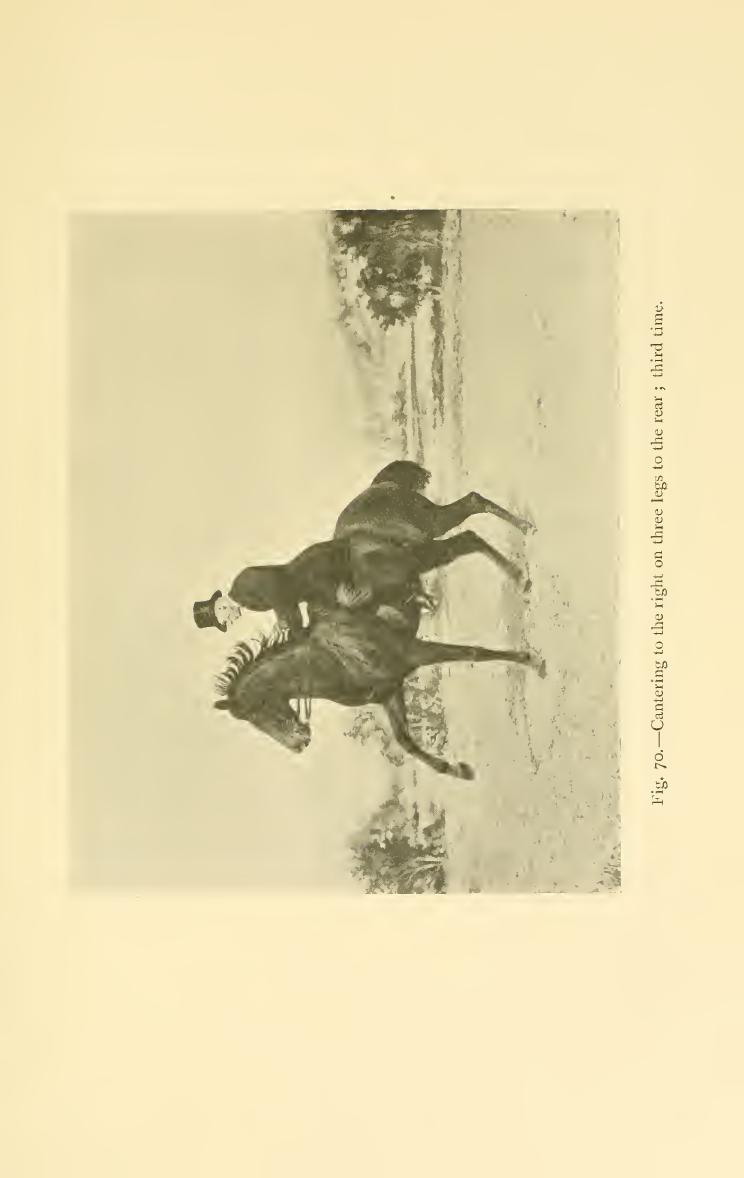 Breaking and riding, скан 347 из 382