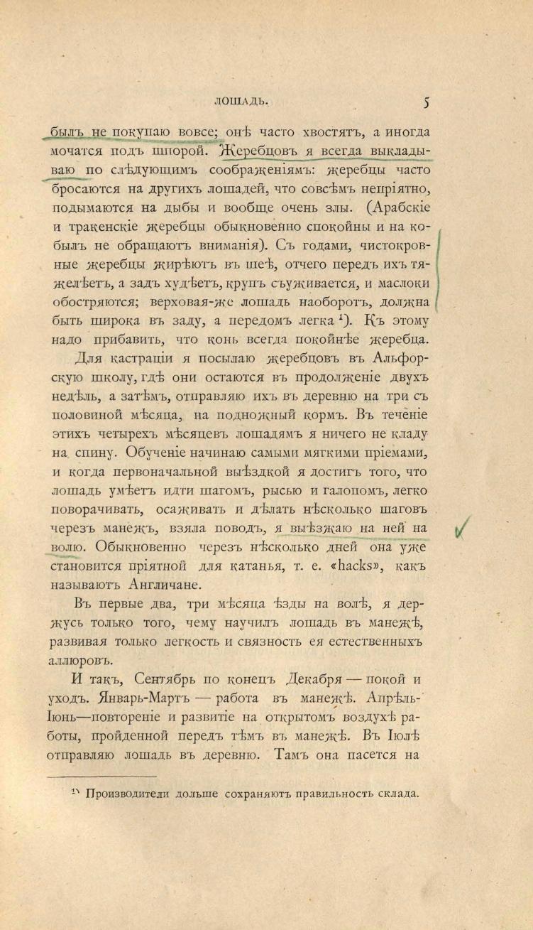 Основы выездки и езды (1901), скан 37 из 414