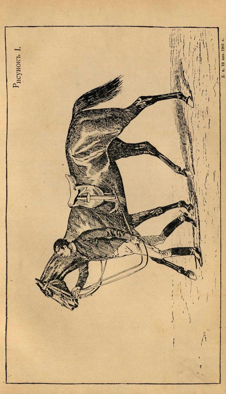Основы выездки и езды (1901), скан 75 из 414