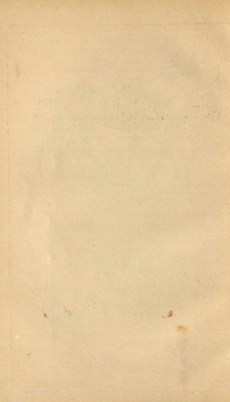 Основы выездки и езды (1901), скан 84 из 414