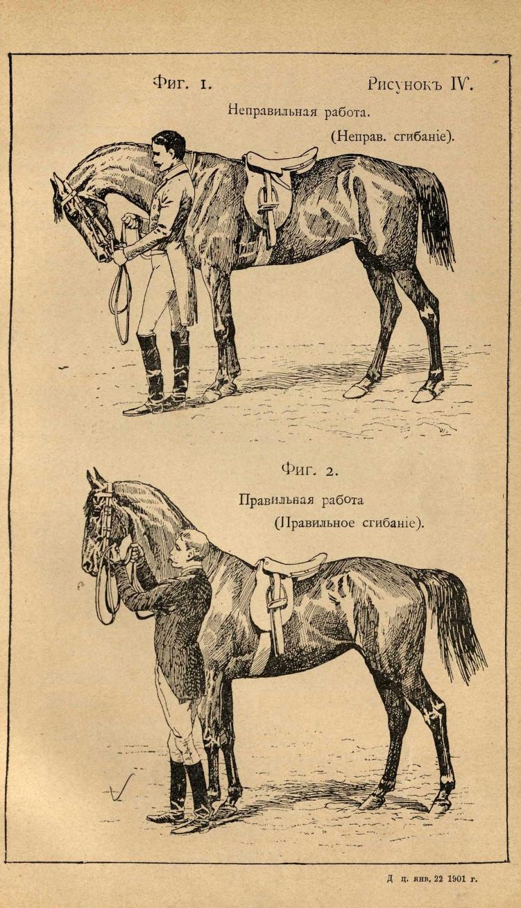 Основы выездки и езды (1901), скан 89 из 414