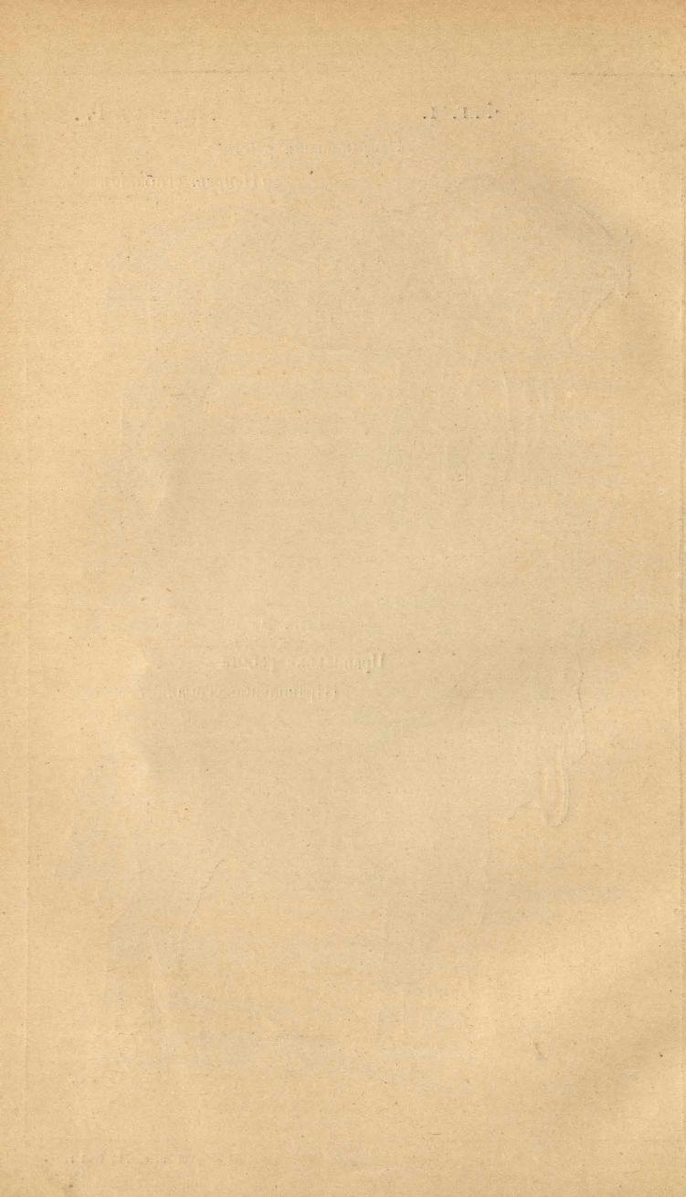 Основы выездки и езды (1901), скан 90 из 414