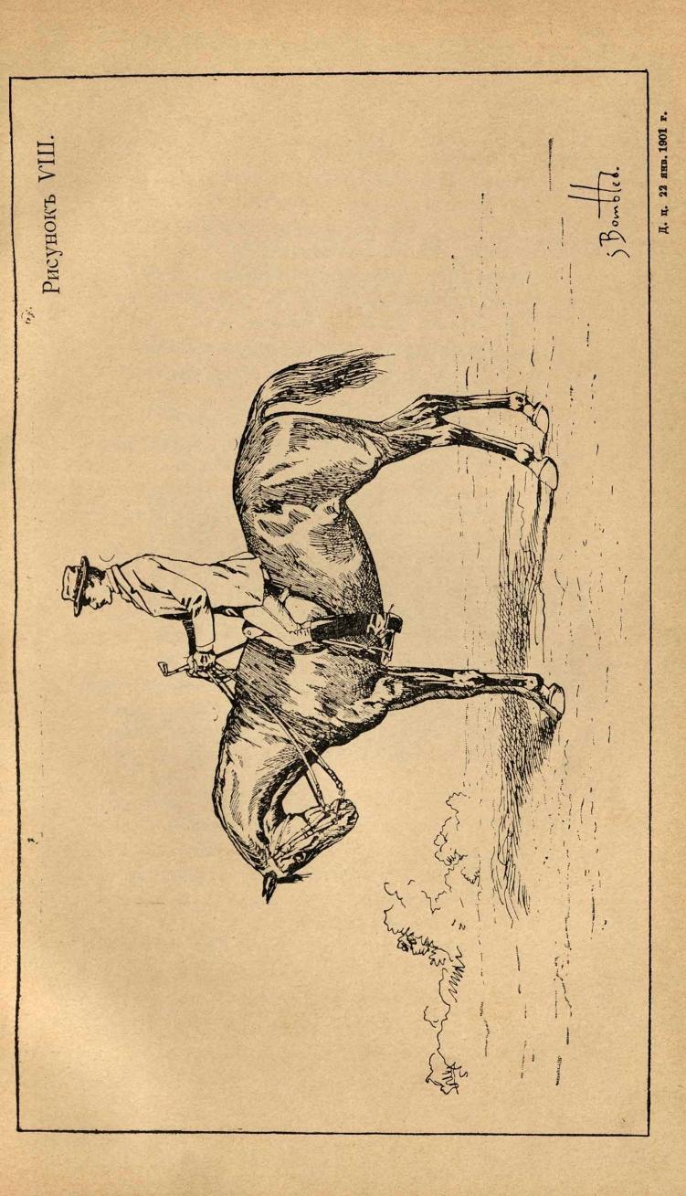 Основы выездки и езды (1901), скан 105 из 414