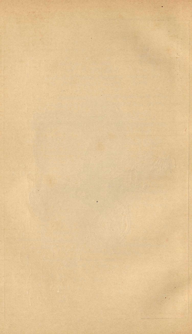 Основы выездки и езды (1901), скан 106 из 414