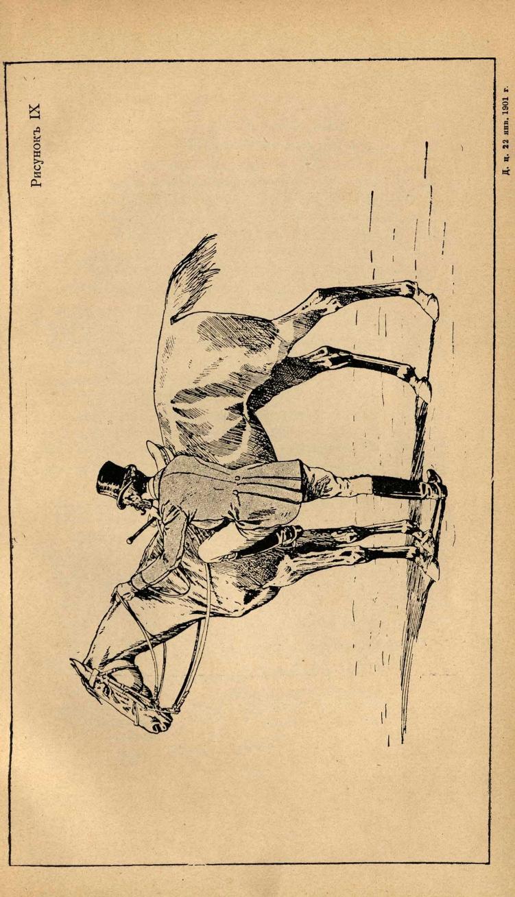 Основы выездки и езды (1901), скан 109 из 414