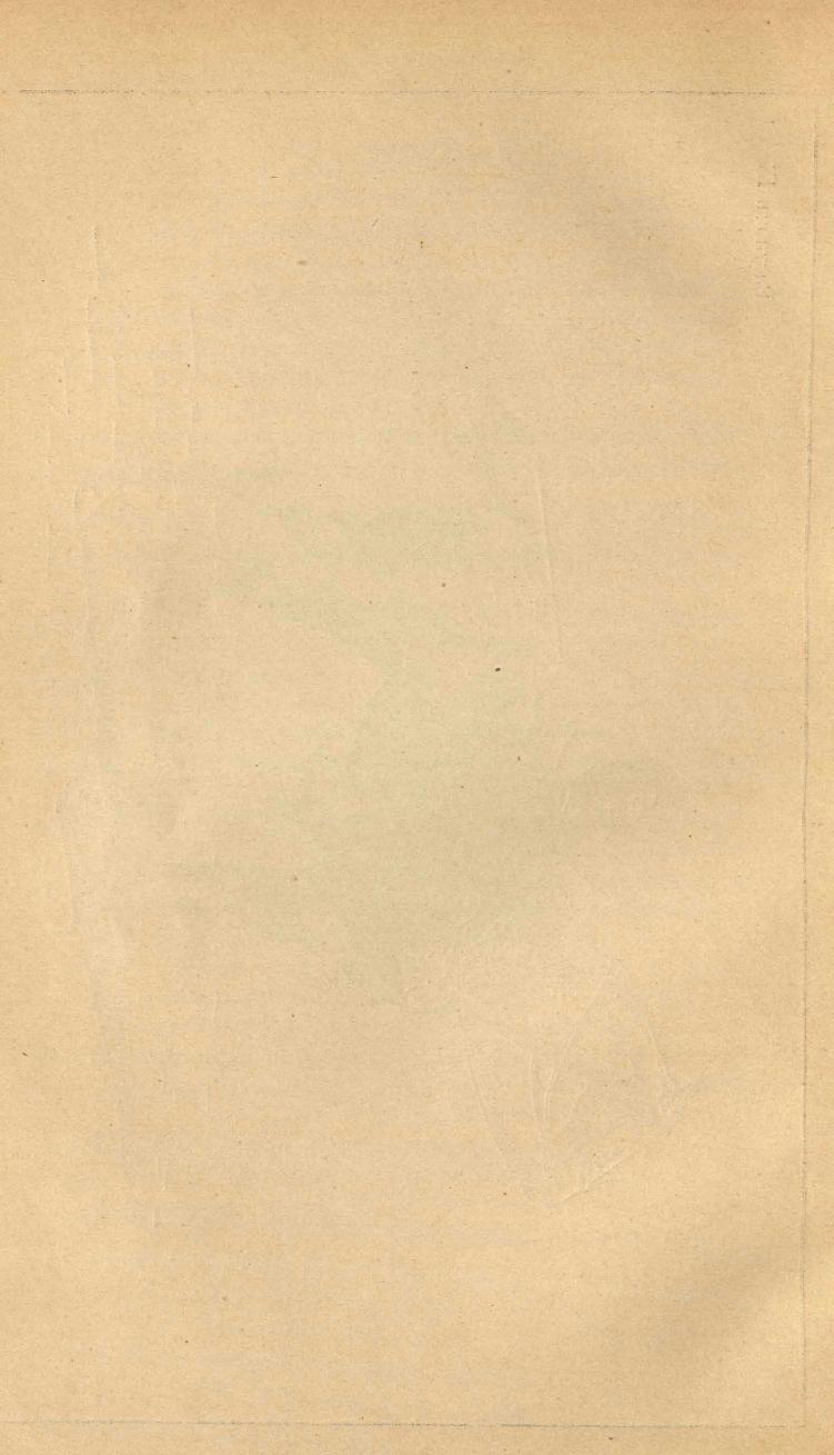 Основы выездки и езды (1901), скан 110 из 414