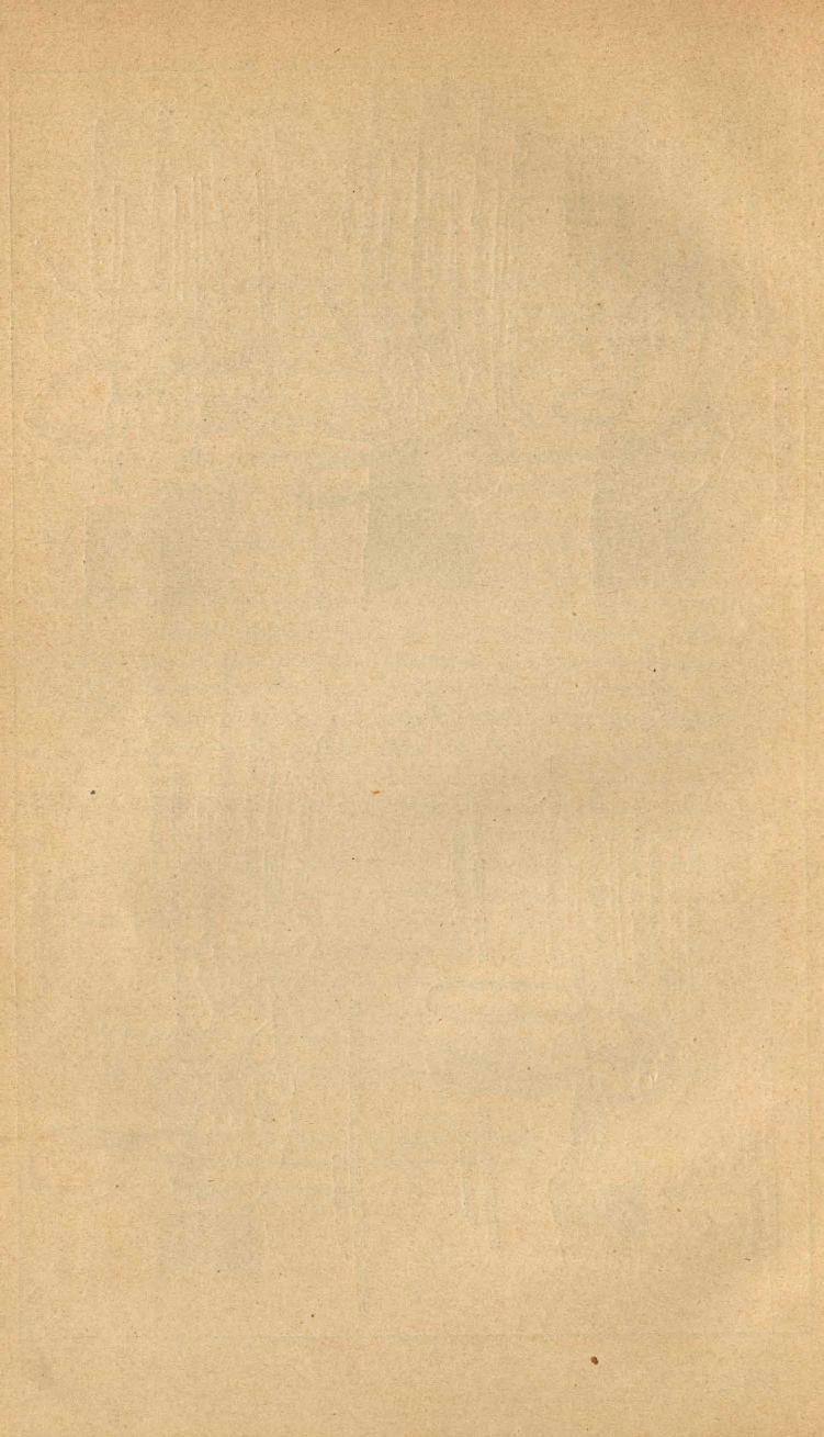 Основы выездки и езды (1901), скан 114 из 414