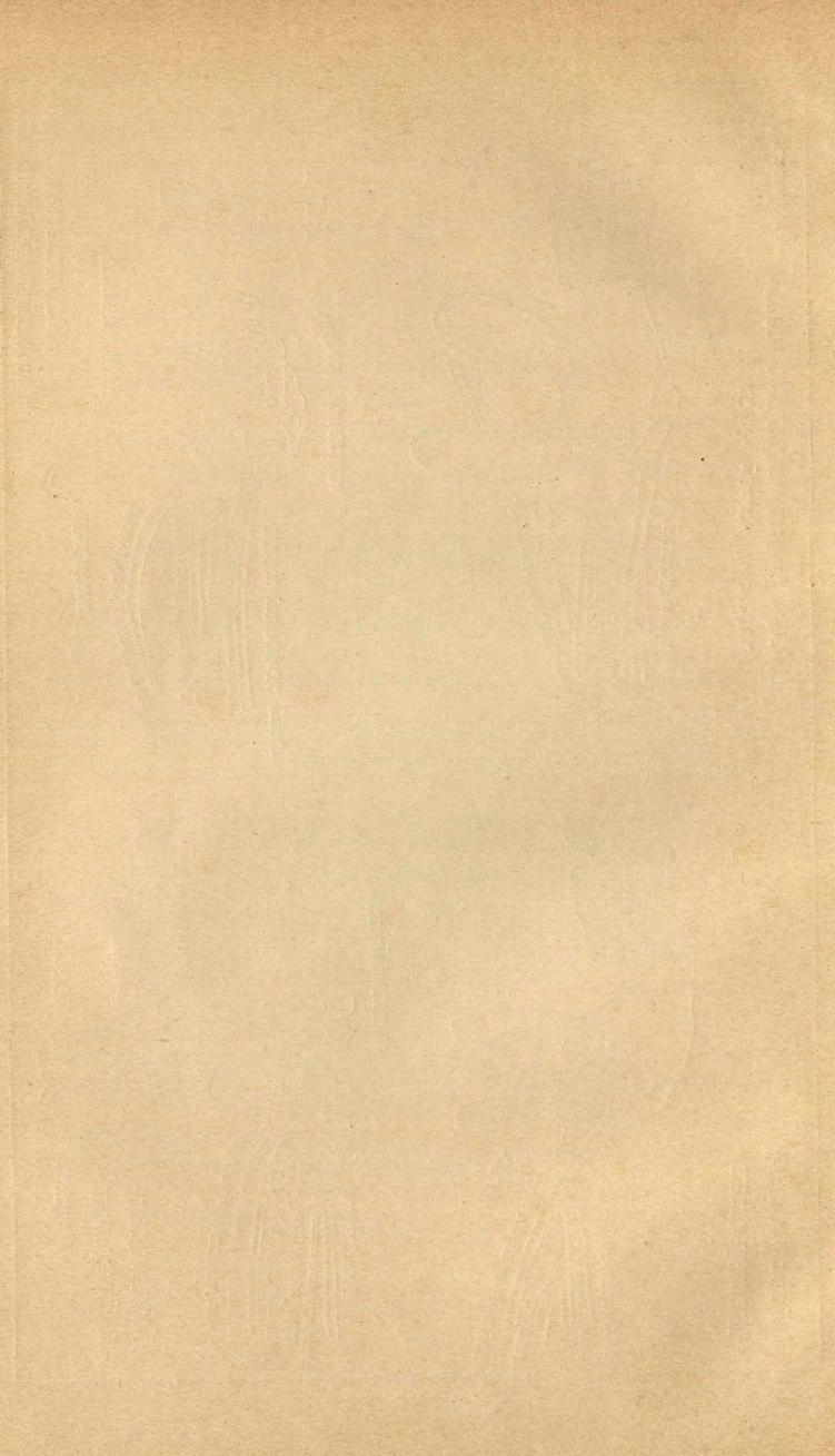 Основы выездки и езды (1901), скан 116 из 414