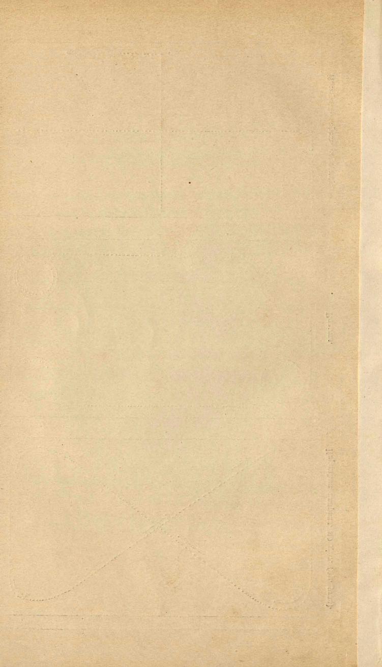 Основы выездки и езды (1901), скан 132 из 414