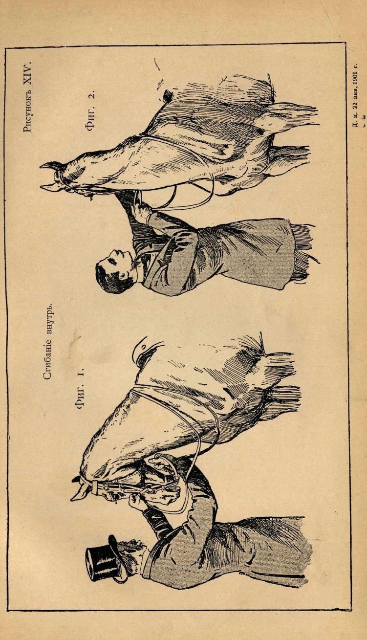 Основы выездки и езды (1901), скан 141 из 414