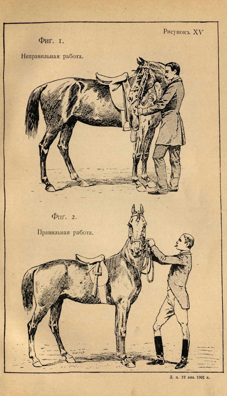 Основы выездки и езды (1901), скан 145 из 414