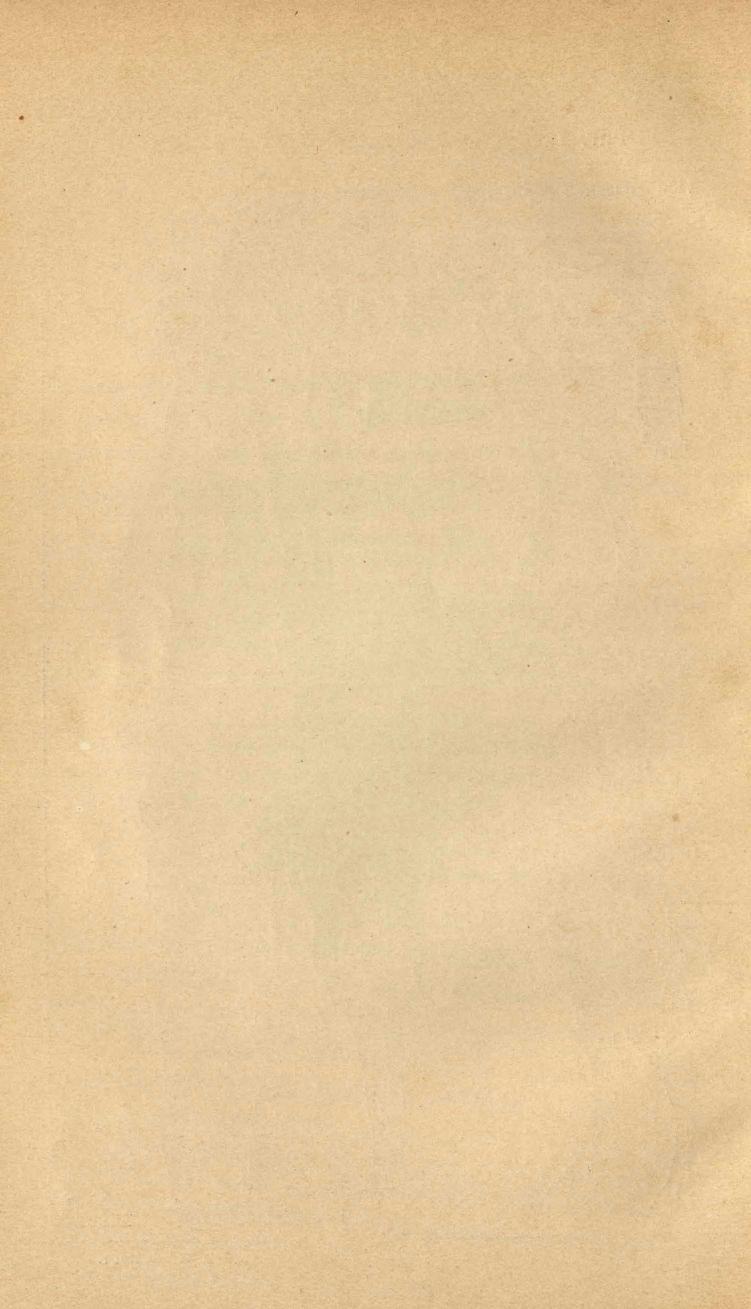 Основы выездки и езды (1901), скан 146 из 414