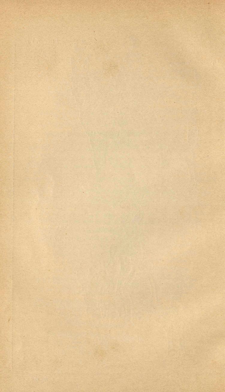 Основы выездки и езды (1901), скан 150 из 414
