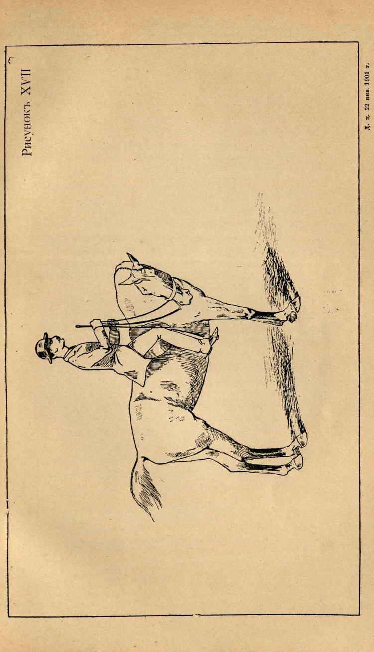 Основы выездки и езды (1901), скан 153 из 414