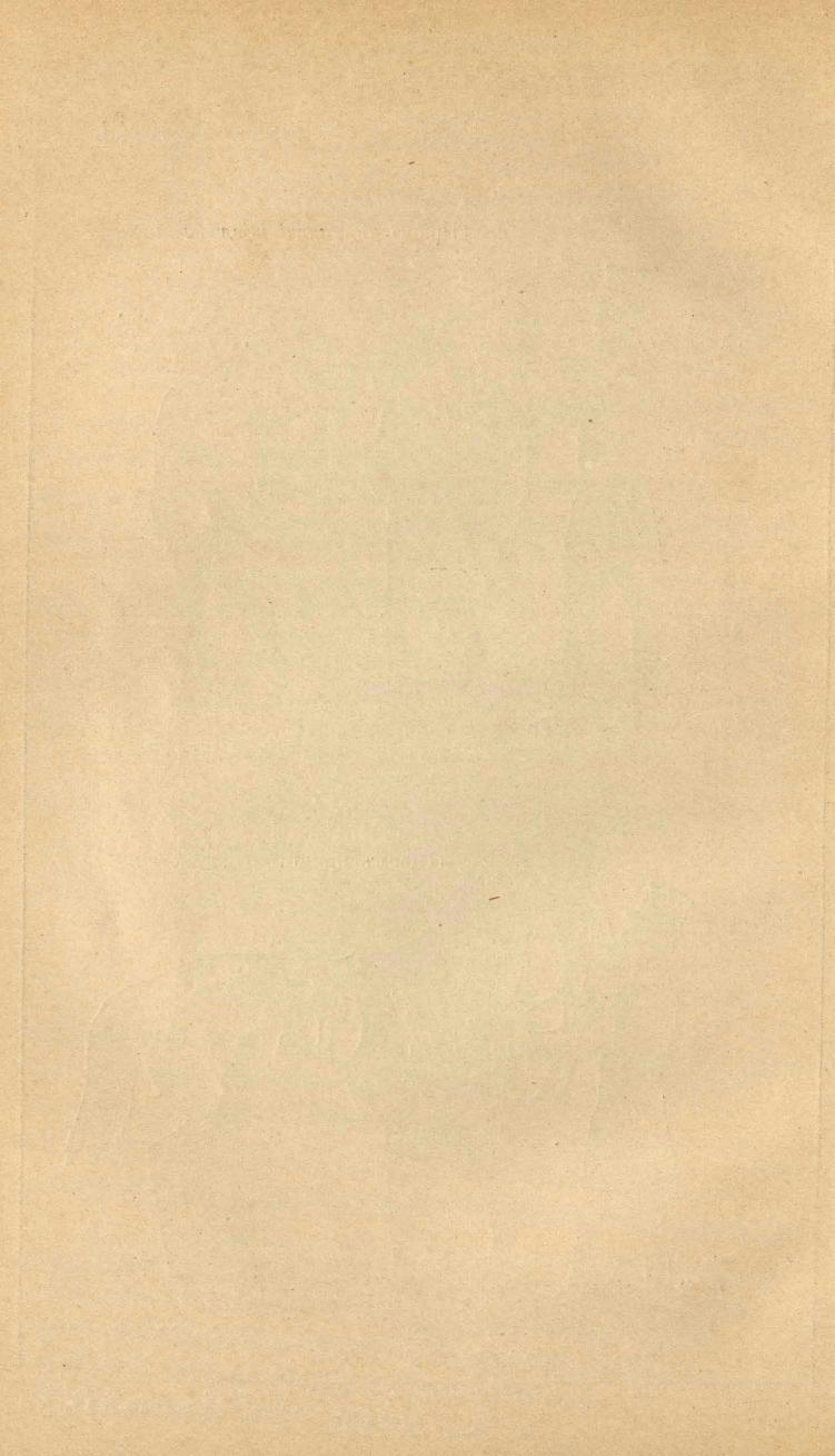 Основы выездки и езды (1901), скан 158 из 414