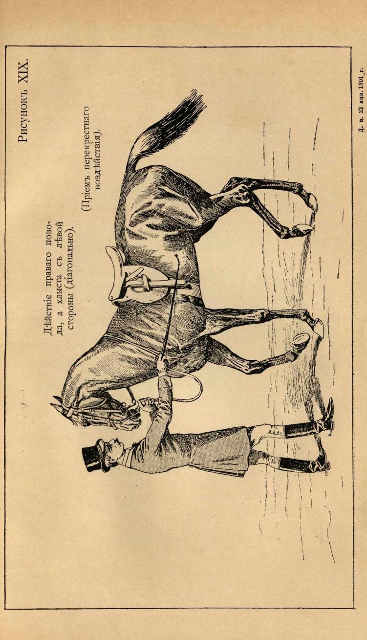 Основы выездки и езды (1901), скан 161 из 414