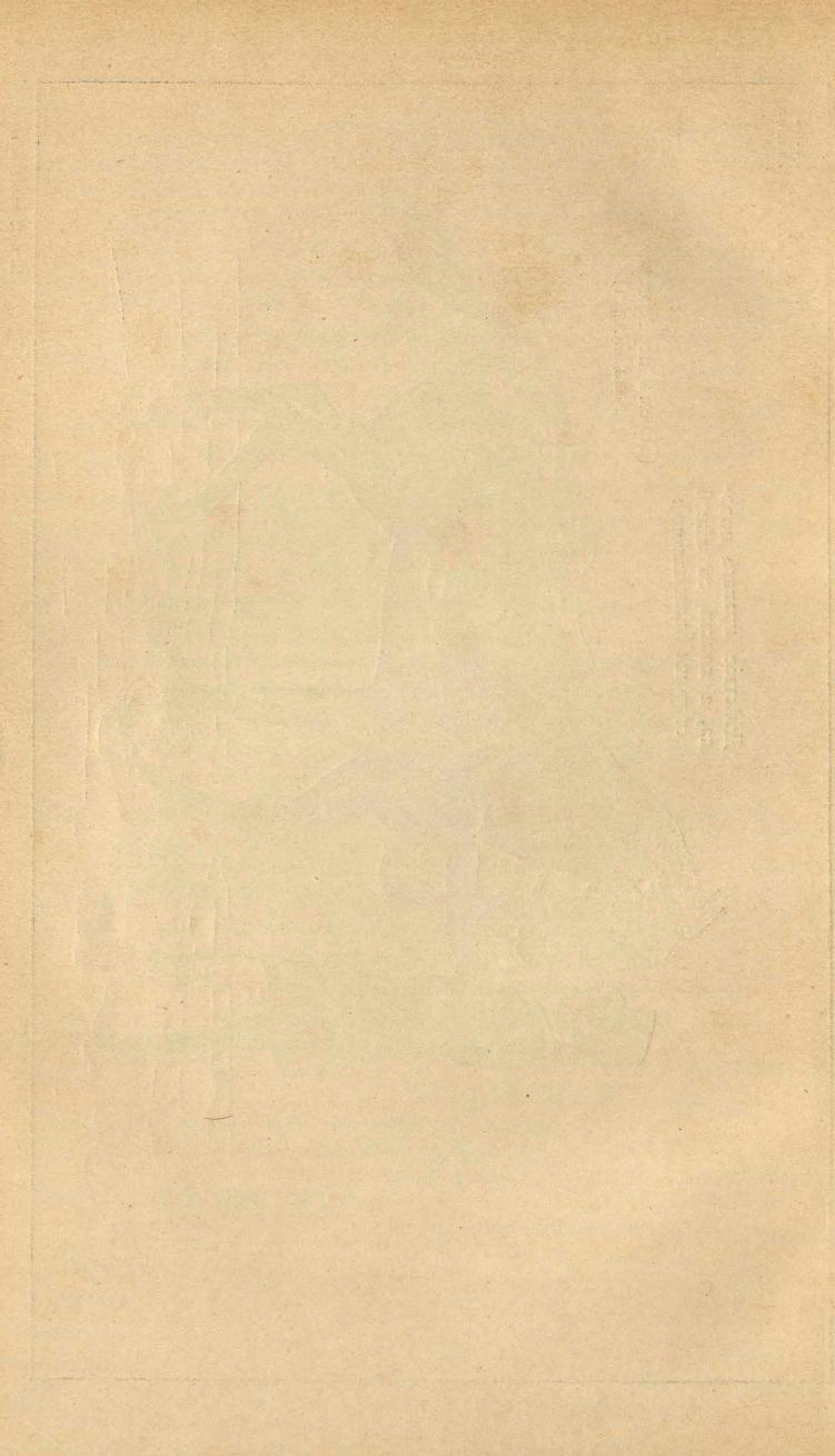 Основы выездки и езды (1901), скан 162 из 414