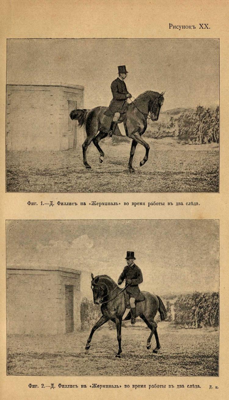 Основы выездки и езды (1901), скан 191 из 414