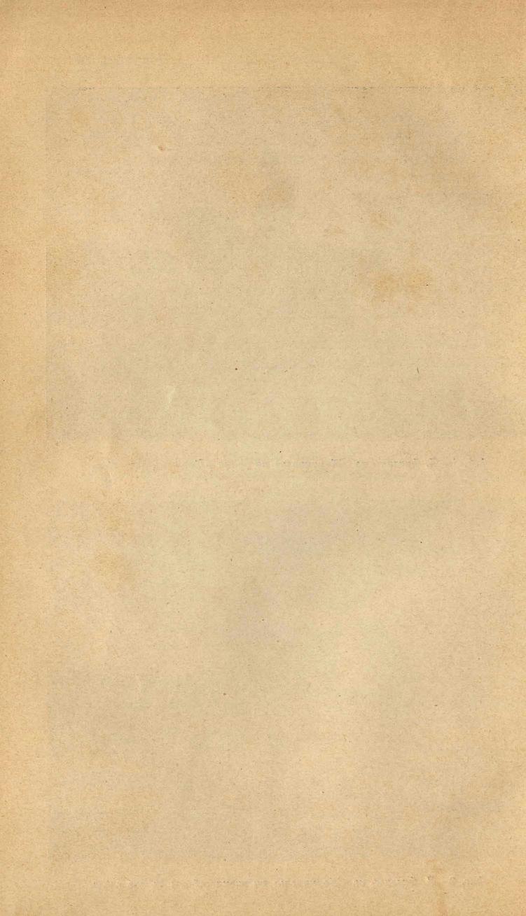Основы выездки и езды (1901), скан 192 из 414