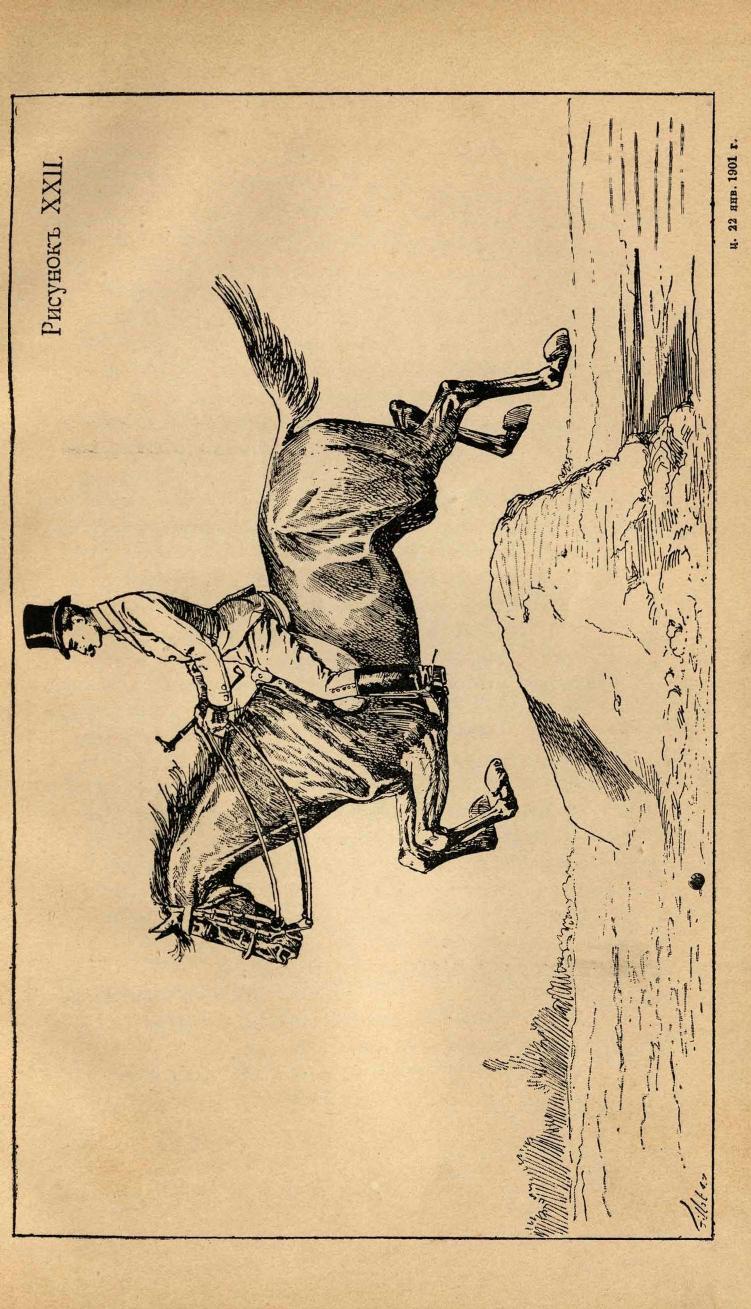 Основы выездки и езды (1901), скан 245 из 414
