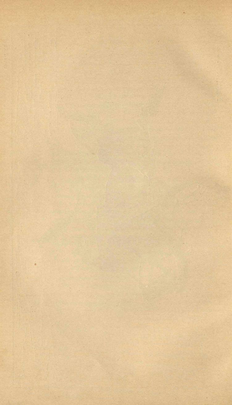 Основы выездки и езды (1901), скан 246 из 414