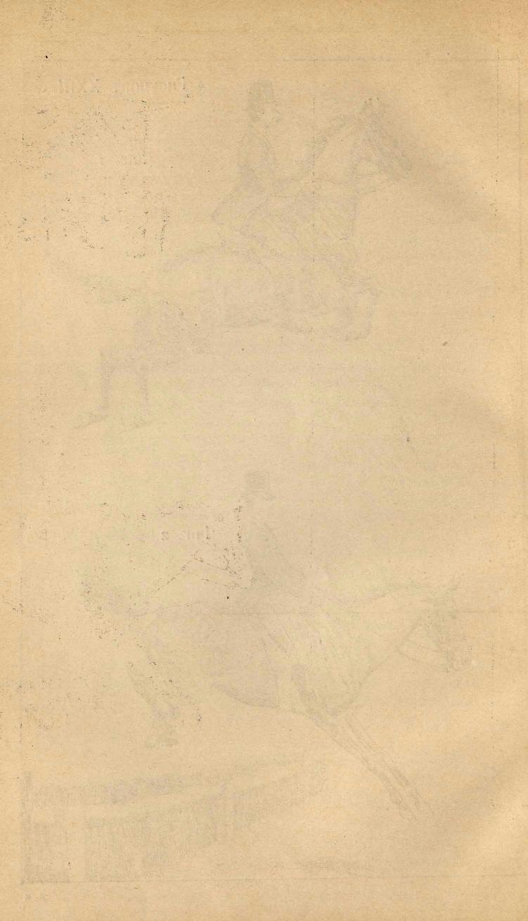 Основы выездки и езды (1901), скан 250 из 414