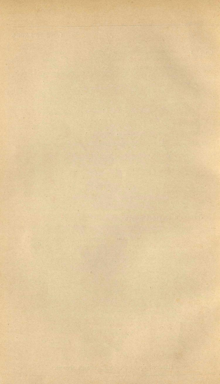 Основы выездки и езды (1901), скан 280 из 414