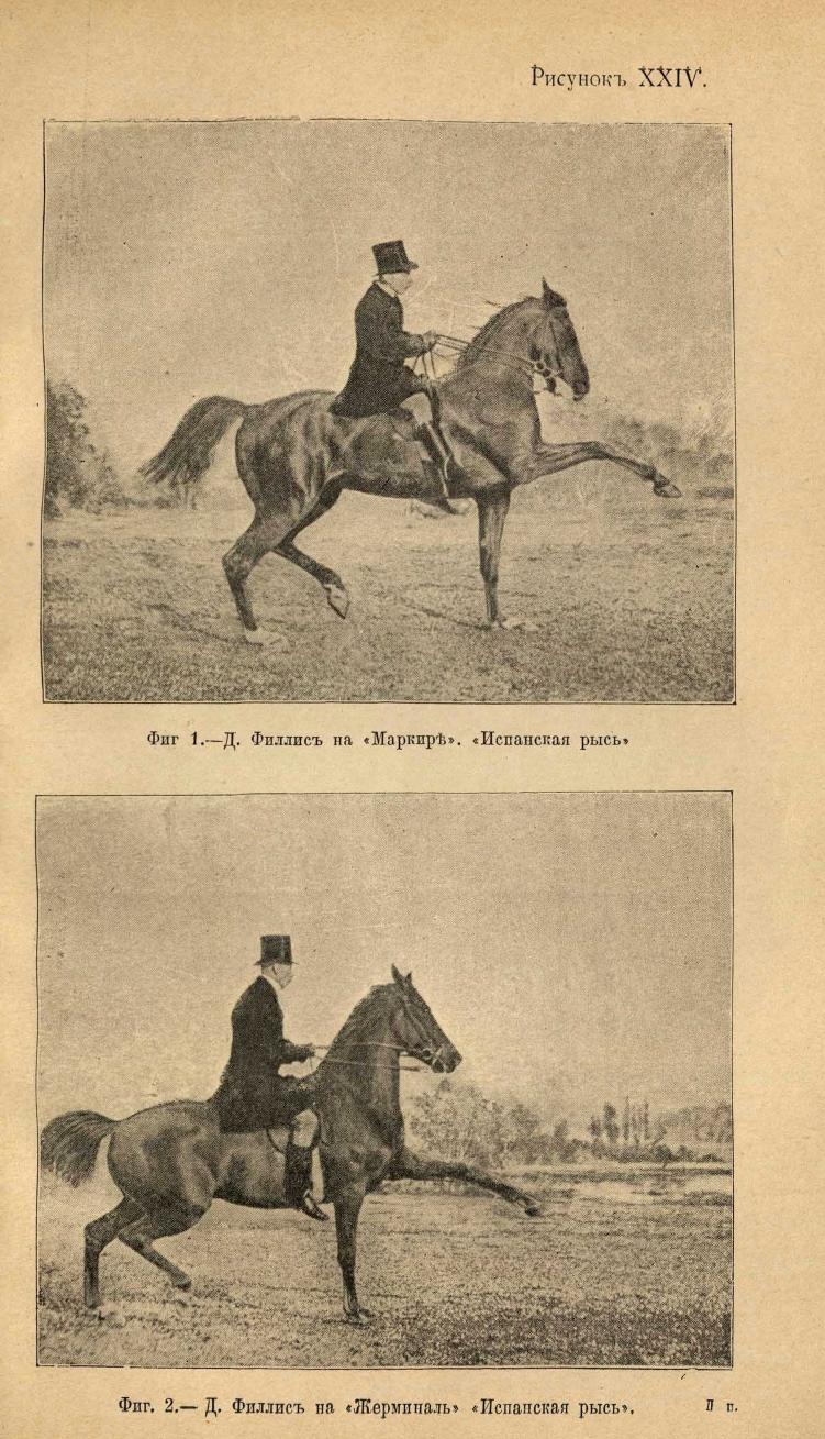 Основы выездки и езды (1901), скан 307 из 414