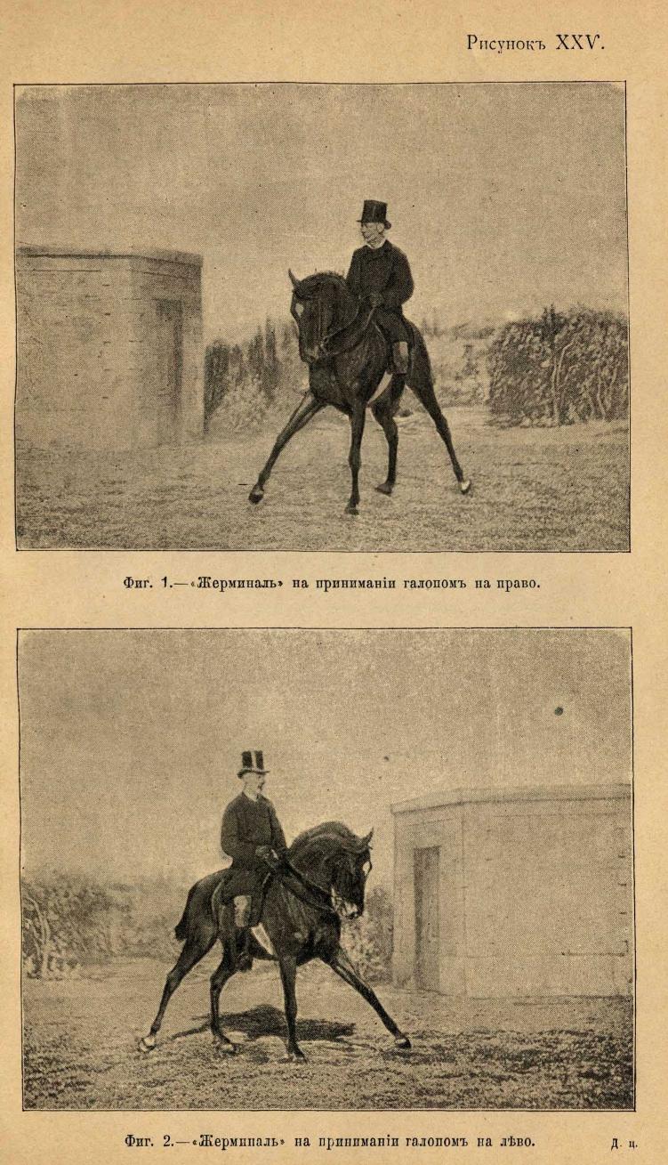 Основы выездки и езды (1901), скан 313 из 414