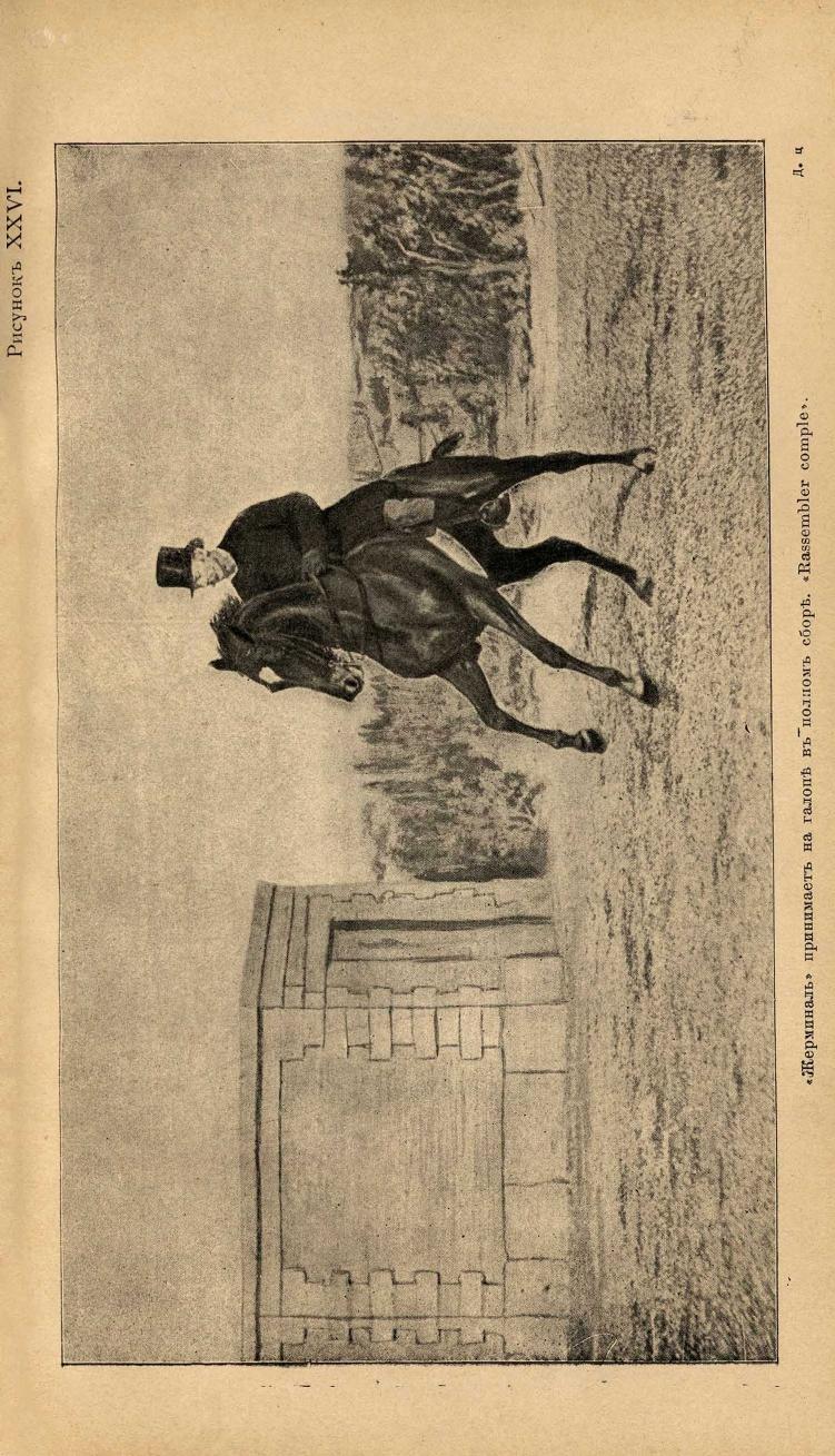 Основы выездки и езды (1901), скан 317 из 414