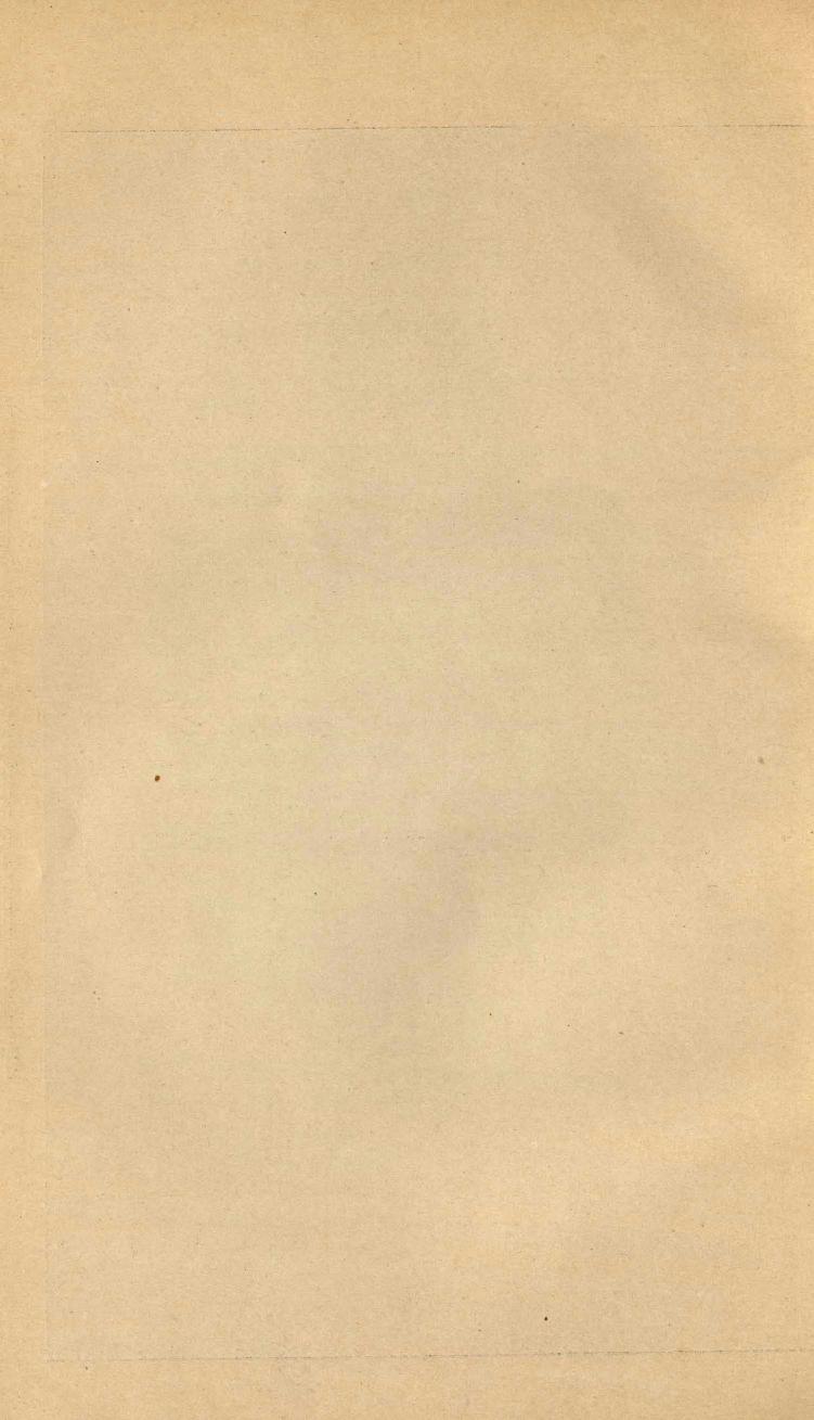 Основы выездки и езды (1901), скан 318 из 414