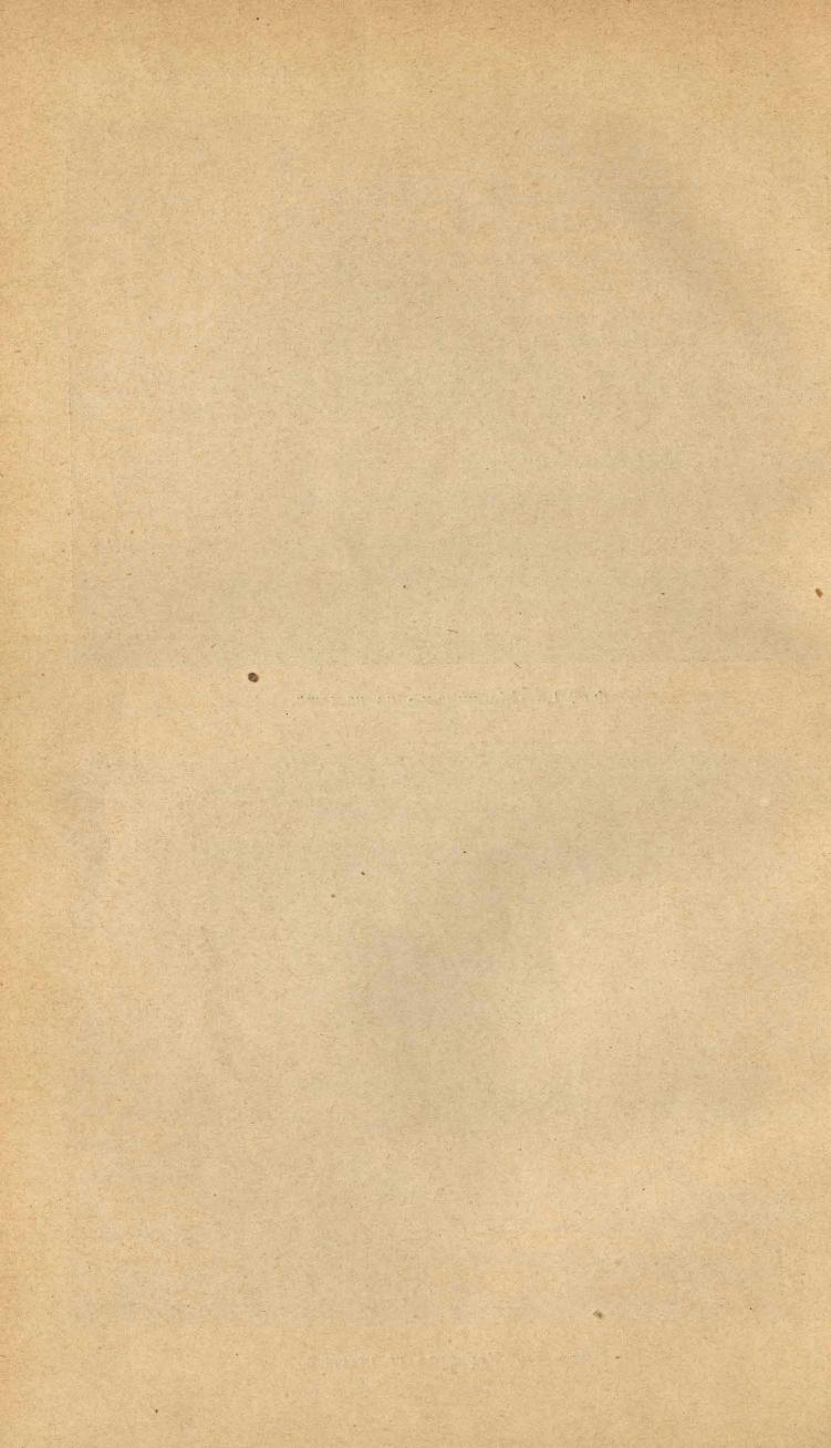 Основы выездки и езды (1901), скан 326 из 414