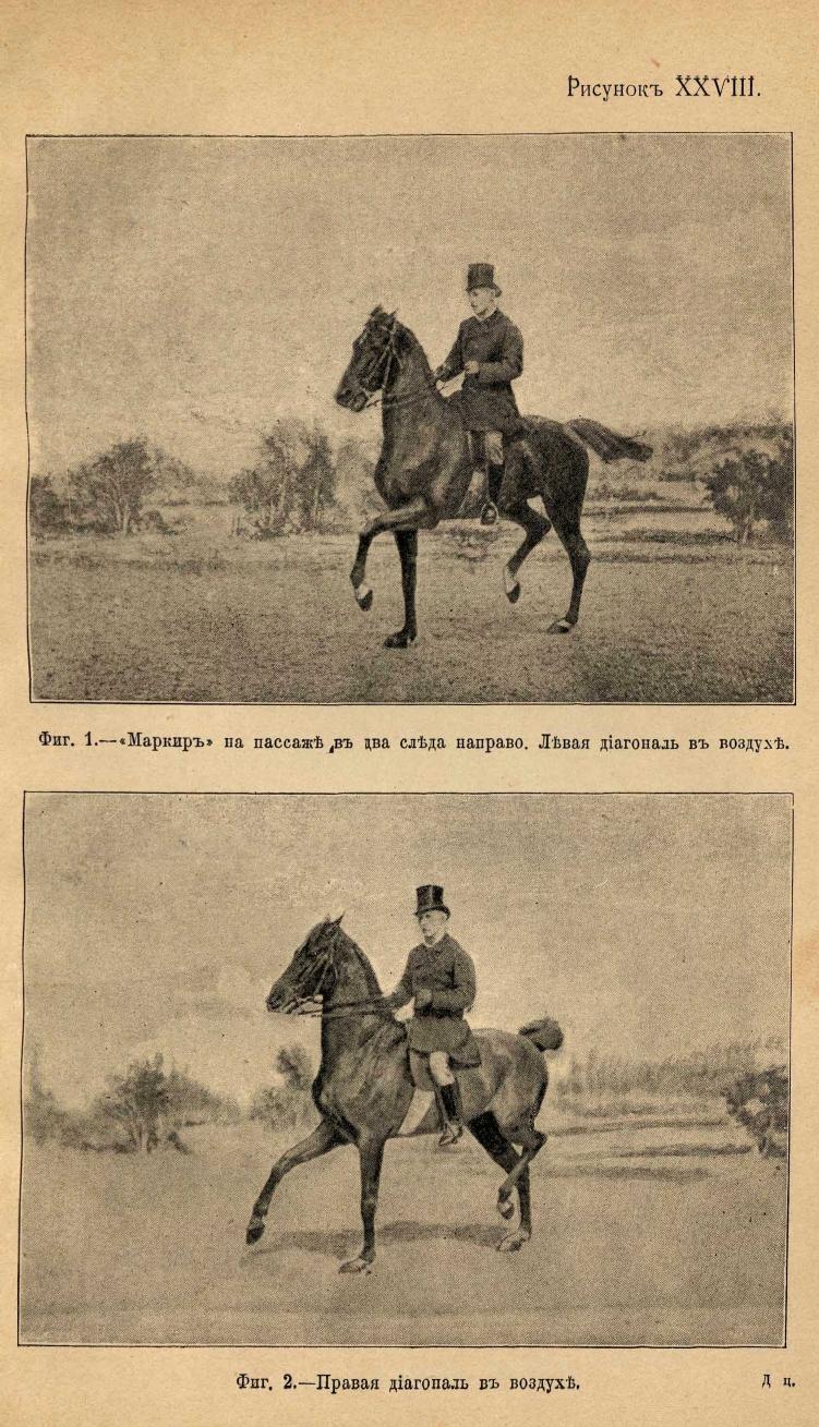 Основы выездки и езды (1901), скан 331 из 414