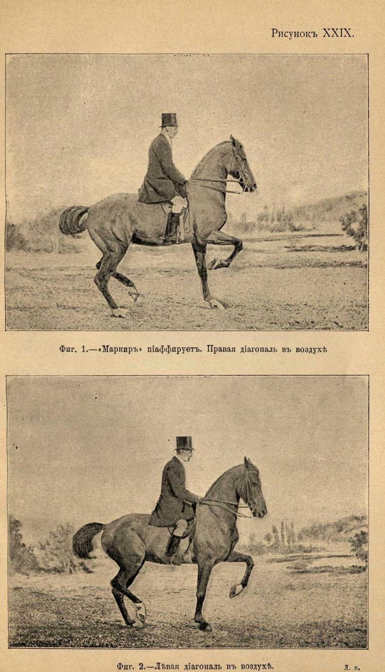 Основы выездки и езды (1901), скан 335 из 414