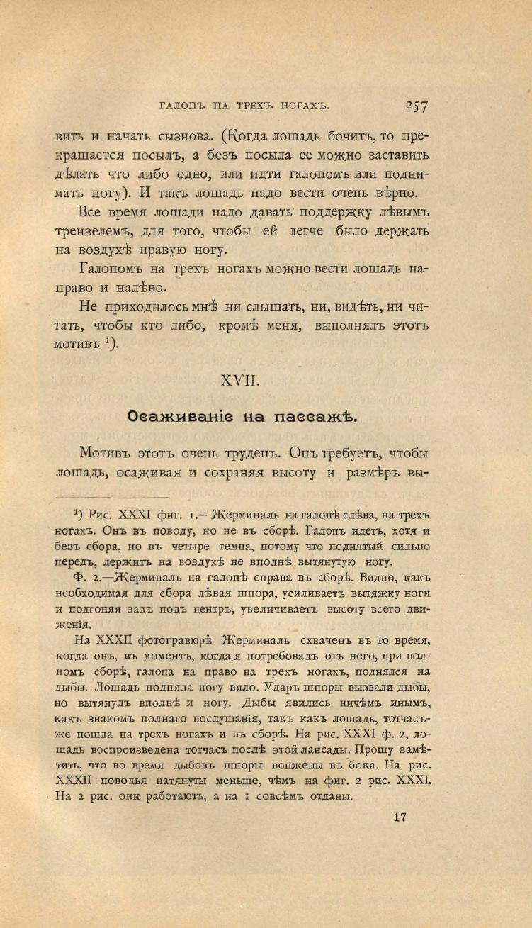 Основы выездки и езды (1901), скан 351 из 414