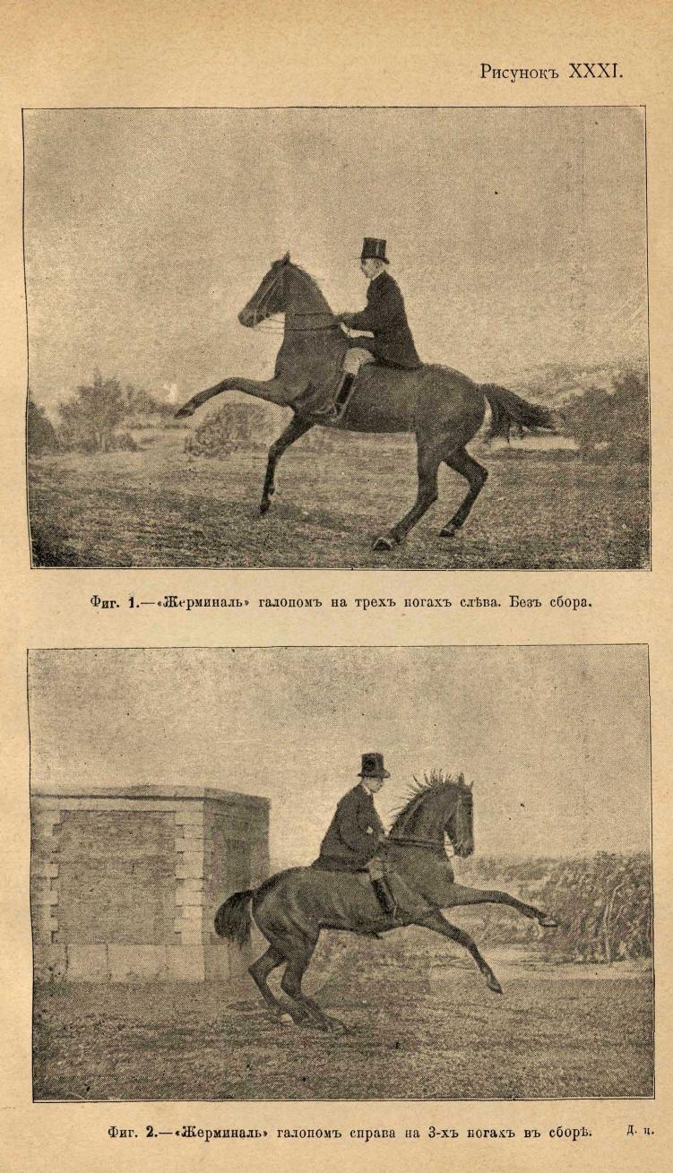 Основы выездки и езды (1901), скан 353 из 414