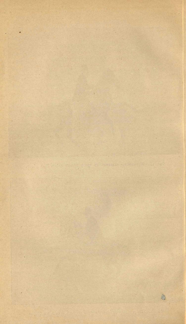 Основы выездки и езды (1901), скан 354 из 414