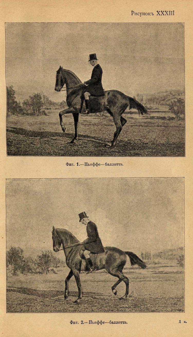 Основы выездки и езды (1901), скан 359 из 414