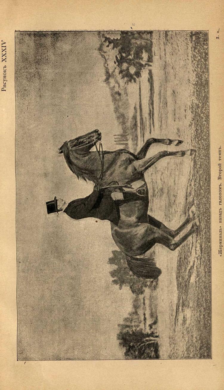 Основы выездки и езды (1901), скан 365 из 414