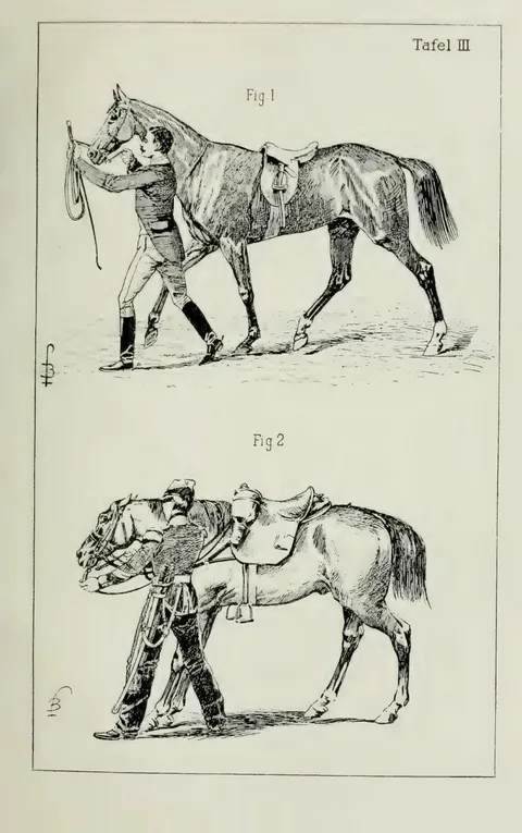 Tafel III Fig. 1 Fig. 2