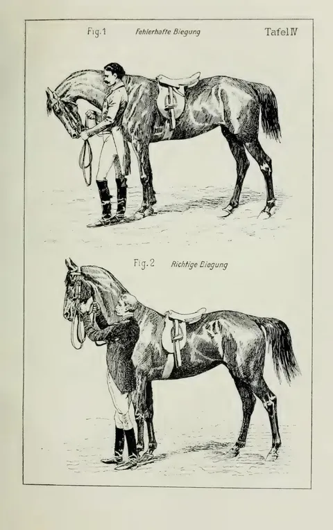 Tafel IV. Fig. 1. Fehlerhafte Biegung. Fig. 2. Richtige Biegung.