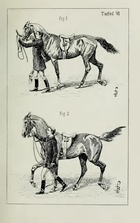Tafel VI. Fig. 1. Fig. 2.