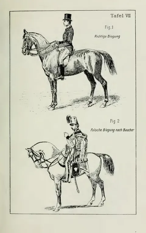 Tafel VII. Fig. 1. Richtige Biegung. Fig. 2. Falsche Biegung nach Baucher.
