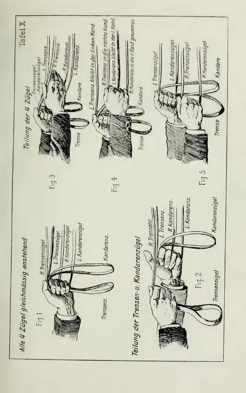 Tafel X. Alle 4 Zügel gleichmässig anstehend (Fig. 1). Teilung der Trensen- u. Kandarenzügel (Fig. 2). Teilung der 4 Zügel (Fig. 3, 4, 5).