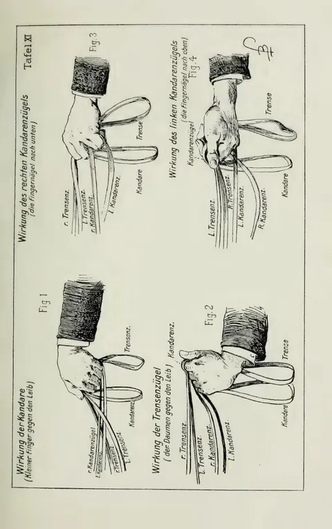 Tafel XI. Fig. 1. Wirkung der Kandare (Kleiner Finger gegen den Leib). Fig. 2. Wirkung der Trensenzügel (der Daumen gegen den Leib). Fig. 3. Wirkung des rechten Kandarenzügels (die Fingernägel nach unten). Fig. 4. Wirkung des linken Kandarenzügels (die Fingernägel nach oben).