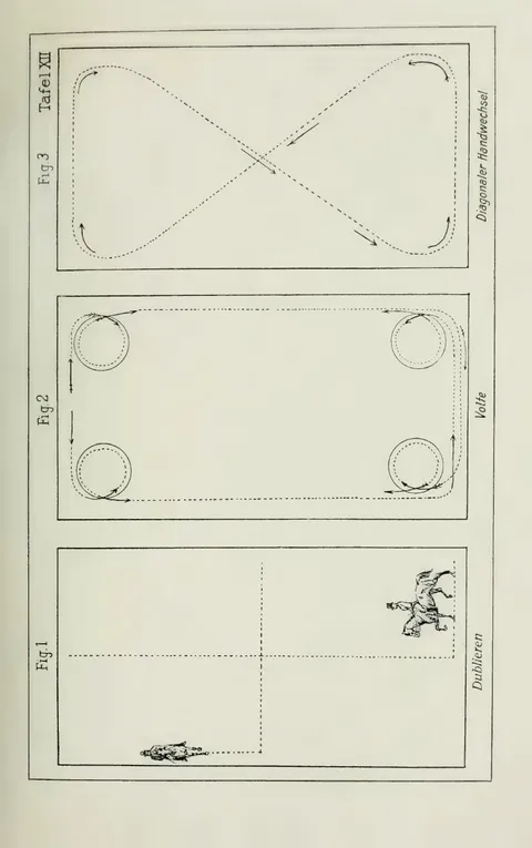 Tafel XII. Fig. 1. Dublieren. Fig. 2. Volte. Fig. 3. Diagonaler Handwechsel.