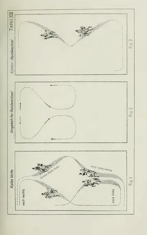 Tafel XIII. Fig. 1. Halbe Volte. Fig. 2. Umgekehrter Handwechsel. Fig. 3. Konter-Handwechsel.