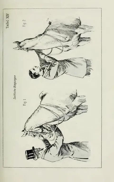Tafel XIV