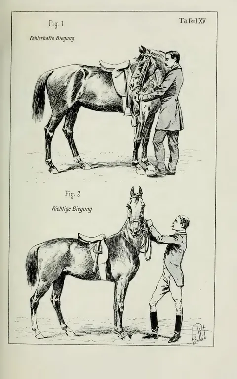 Tafel XV