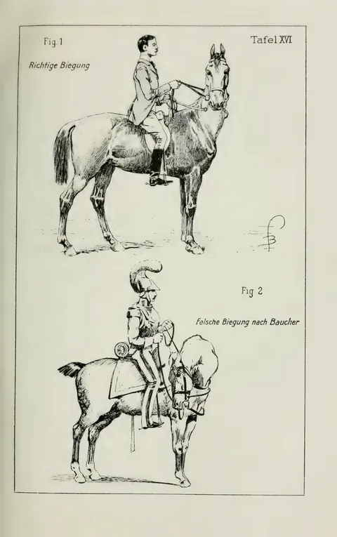 Tafel XVI. Fig. 1. Richtige Biegung. Fig. 2. Falsche Biegung nach Baucher.